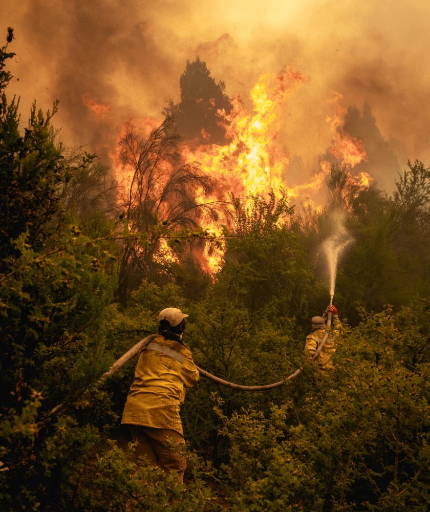 joel reyero @naturalflash